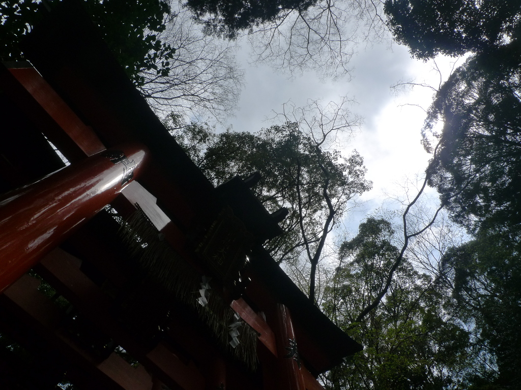La porte rouge d'un temple shintoïste, entourée d'arbres.