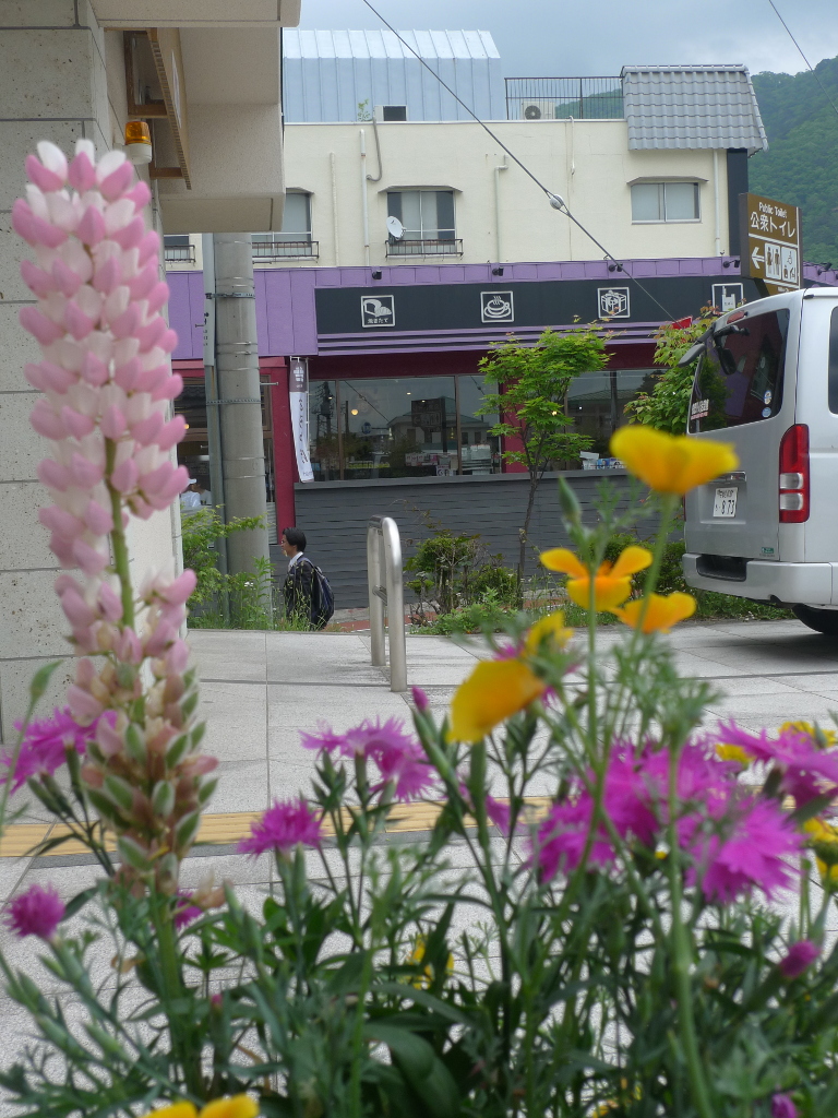 Des fleurs, puis un passant et une voiture garée devant une supérette.